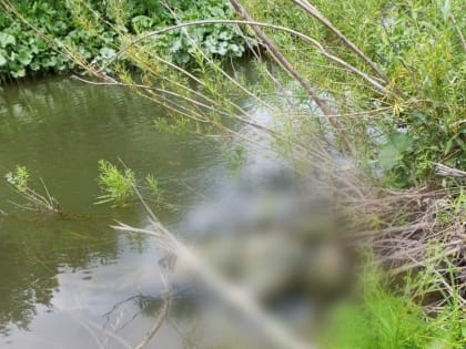 Сегодня в Башкирии утонули двое мужчин