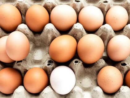 Новые цены на яйца удивили покупателей: они преподнесут настоящий сюрприз
