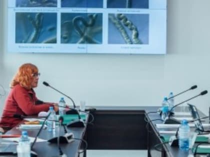 БГПУ им. М. Акмуллы приглашает на II Национальную научно-практическую конференцию «Перспективные направления развития современного образования и науки»