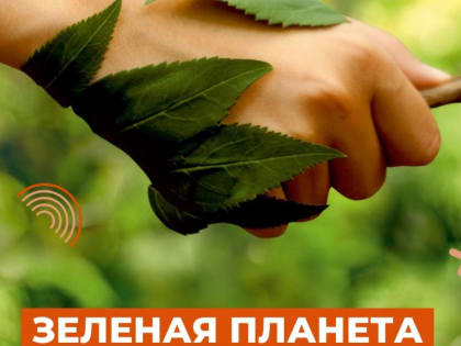 Пошел в магазин – посадил дерево