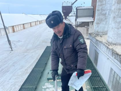 Из Башкирии вывезли меньше зерна в другие регионы