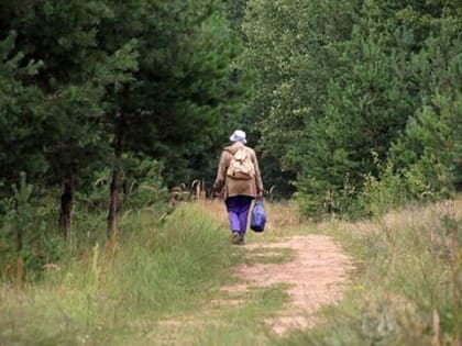 В Башкирии 4 дня искали пожилую женщину-грибника