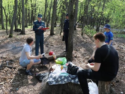 Лесопарковые зоны на особом контроле огнеборцев