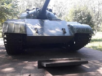 Жителю Башкирии, устроившему погром в парке Победы, вынесли приговор