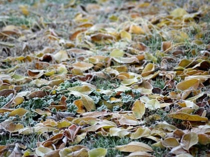 В Башкирии температура перейдёт через ноль, пойдёт снег