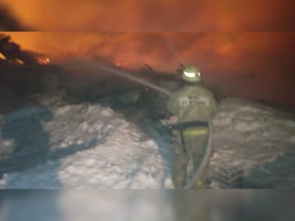 В Башкирии 16 коров погибли при пожаре