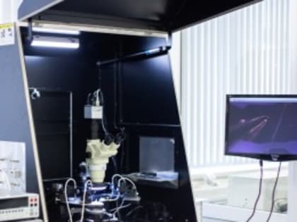 В Акмуллинском университете открыли новые площадки