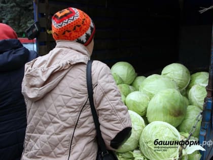 В некоторых районах Башкирии сегодня продолжат работу сельхозярмарки