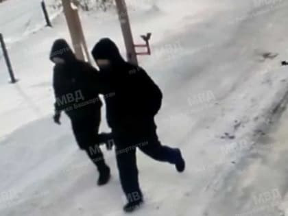 Двое грабителей напали и жестоко избили семейную пару в садах под Уфой