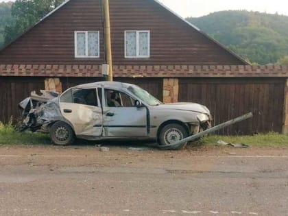 В Башкирии после столкновения с электроопорой погиб пассажир иномарки