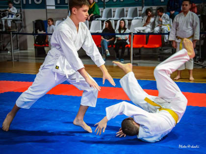 В Уфе прошла «Республиканская Гимназиада боевых искусств»