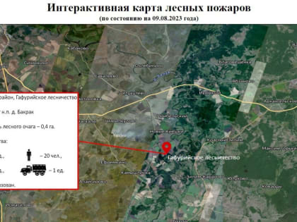 На территории Башкирии за последние сутки зарегистрирован один очаг лесного пожара