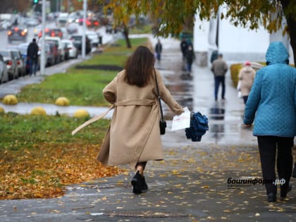 В выходные в Башкирии прогнозируются дожди со снегом