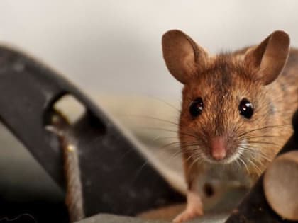 Легко найти и трудно потерять