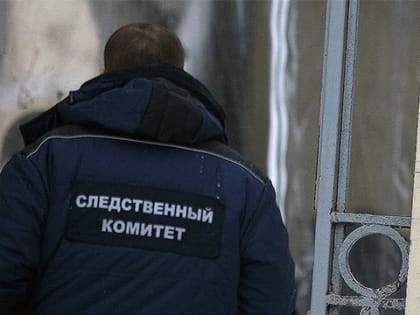 В СК прокомментировали групповое изнасилование 17-летней девушки в Башкирии