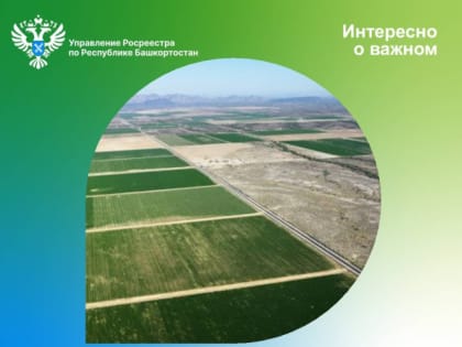 В 2022 году Росреестр Башкортостана провел свыше 3000 контрольных мероприятий без взаимодействия с землепользователями