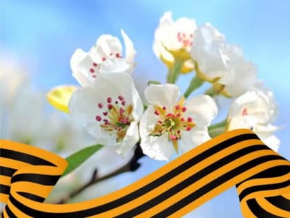 Во время массовых мероприятий помните о бдительности