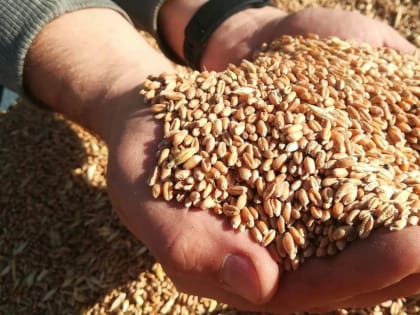 В правительстве Башкирии обсудили итоги развития АПК в 2022 году