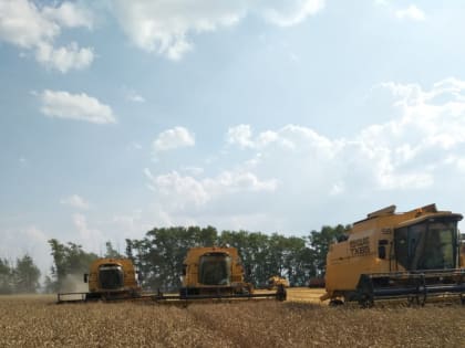 Уборка урожая идет в 28 районах Башкирии