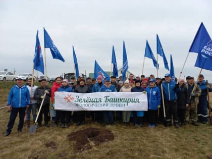 В рамках партпроекта «Городская среда» Илишевский район присоединился к акции «Зеленая Башкирия»