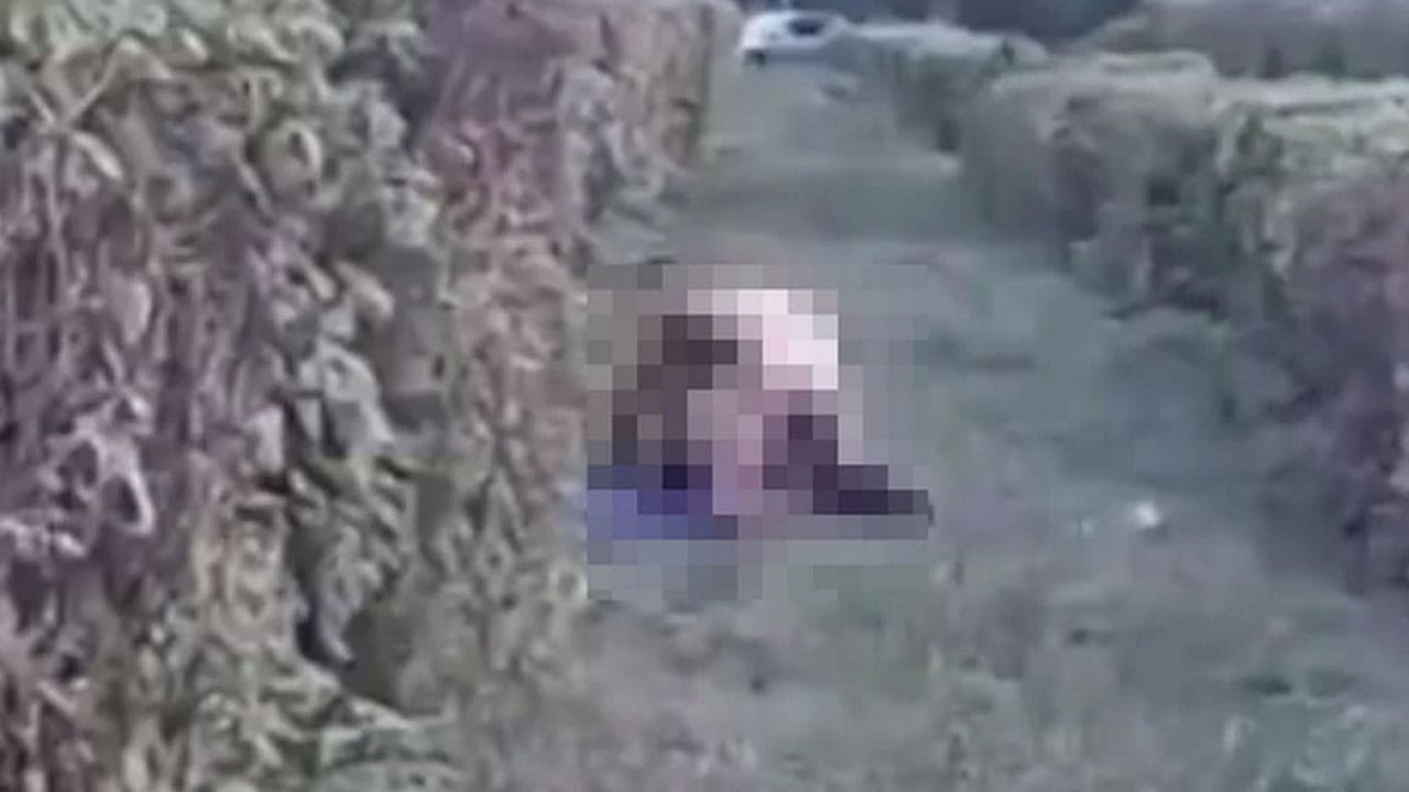 видео где на мотоцикле потеряли в кустах