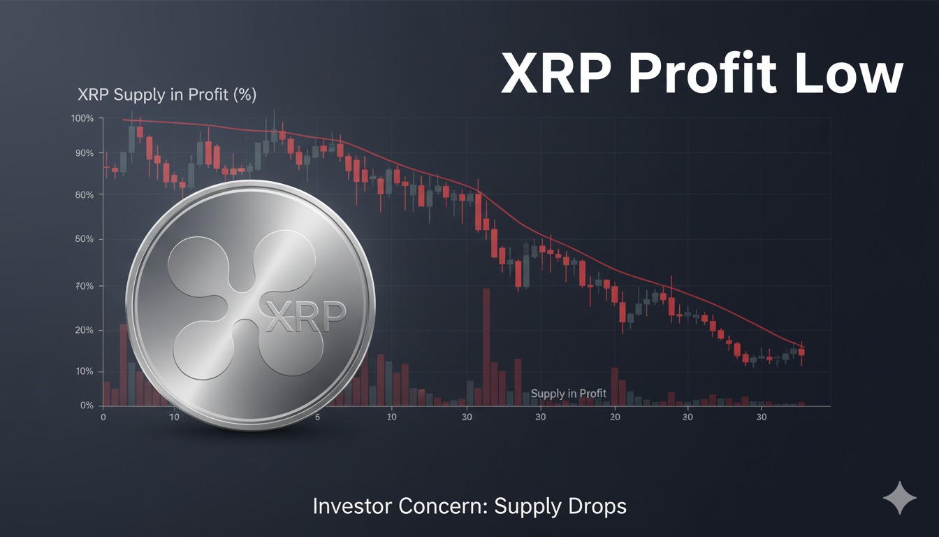 XRP Profitability Hits One-Year Low: Fragile Market Exposed