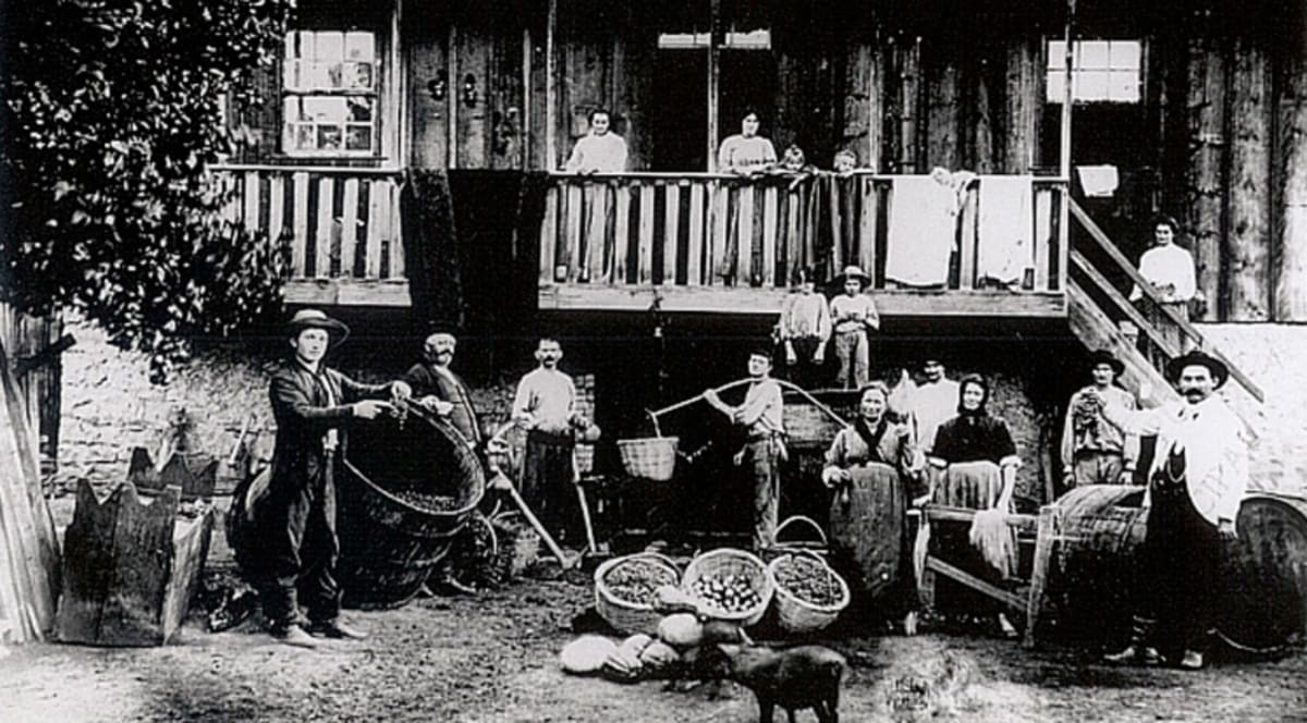 Imagem do artigo 150 Anos da Imigração Italiana na Serra Gaúcha