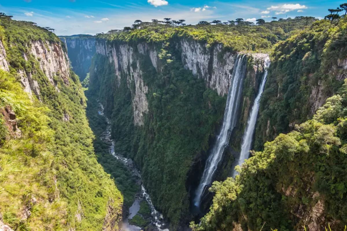 Imagem de capa de Campos de Cima da Serra