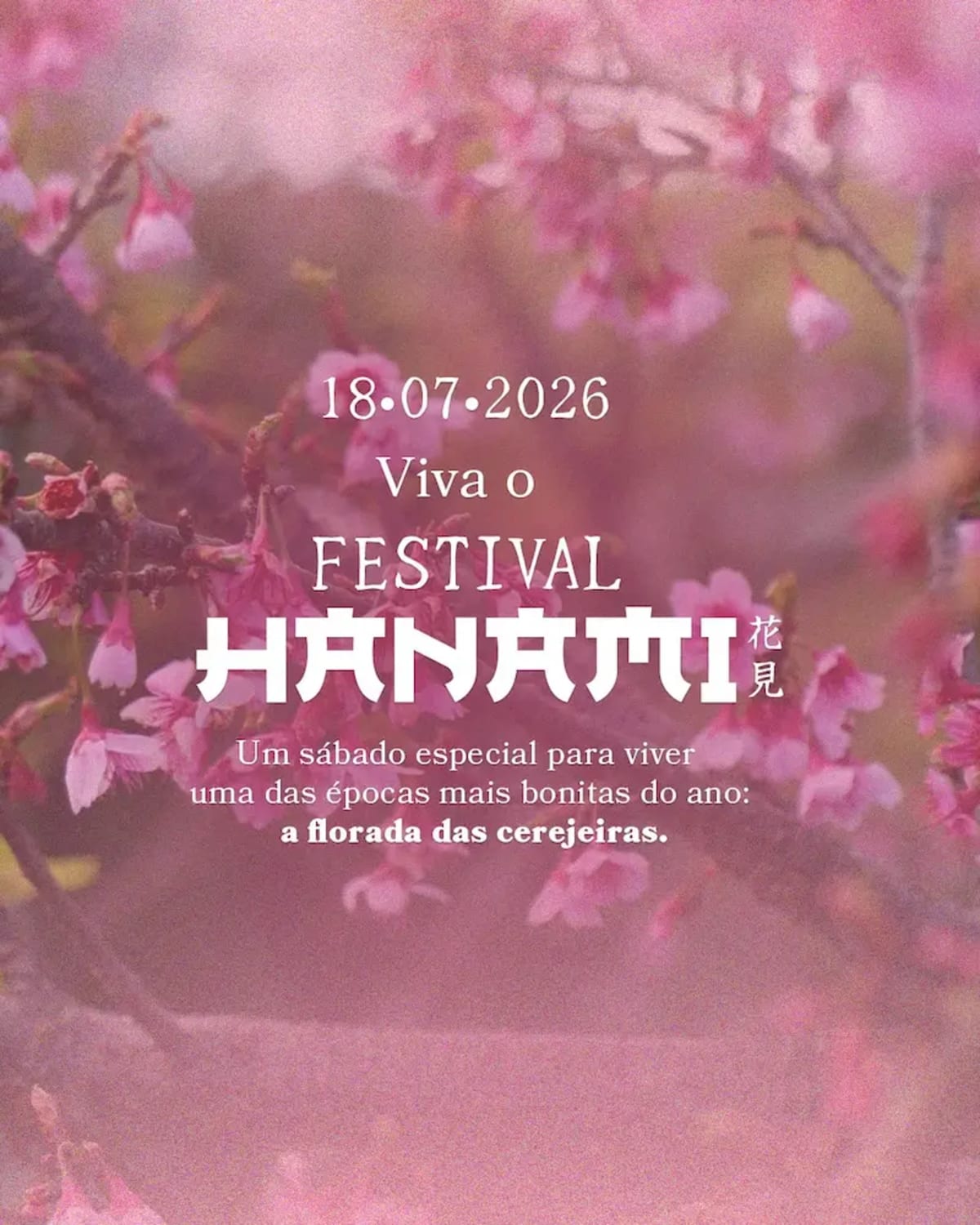 Festival Hanami – Mátria Parque de Flores em São Francisco de Paula (RS)