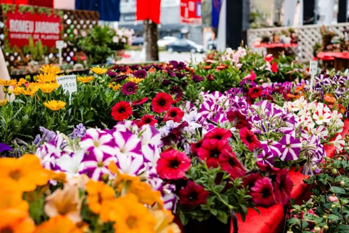 Festival da Primavera em Nova Petrópolis (RS)