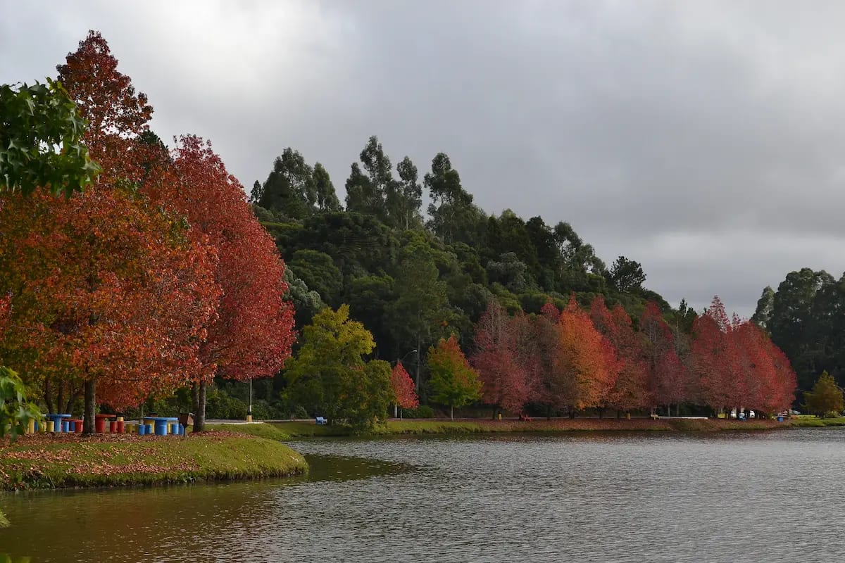 Imagem de Lago São Bernardo em São Francisco de Paula (RS)