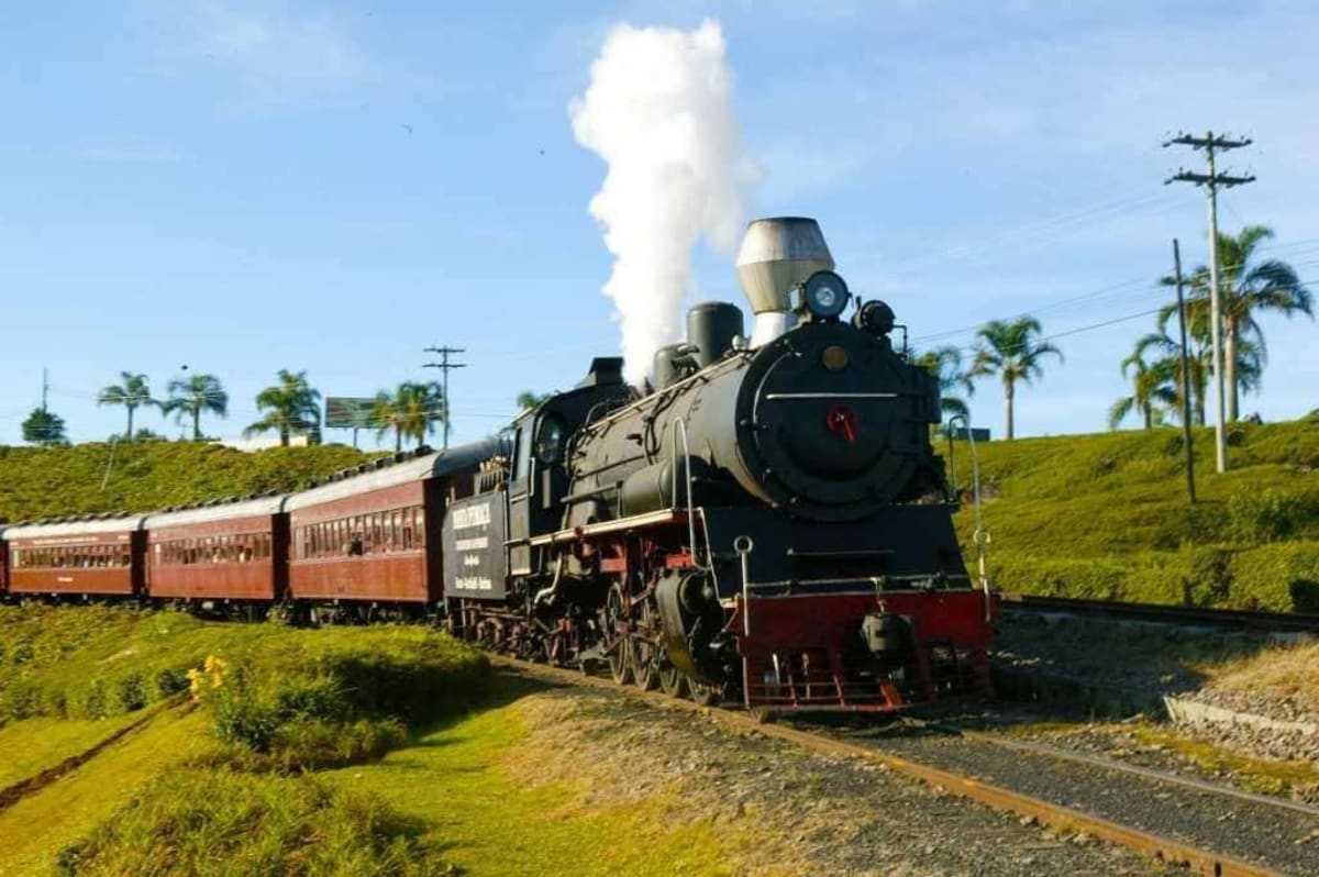 Imagem de Passeio da Maria Fumaça – Trem do Vinho em Carlos Barbosa (RS)
