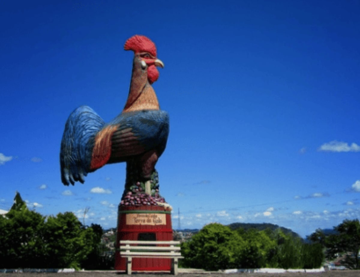 Foto de A história do galo em Flores da Cunha (RS)