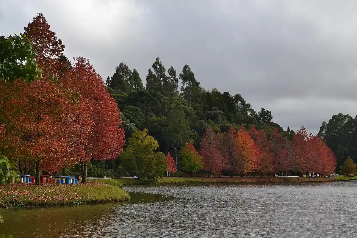 Conhecendo São Francisco de Paula em um dia