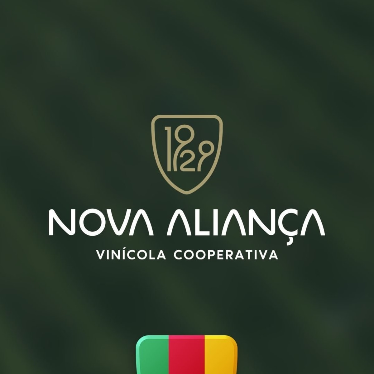 Nova Aliança Vinícola Cooperativa - Flores da Cunha (RS)