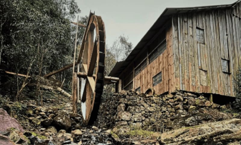 Foto