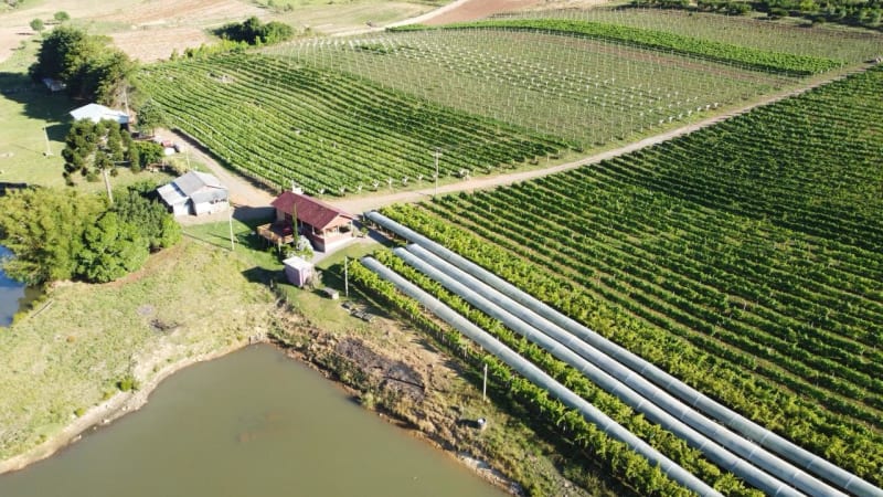 Vista do Vinhedo