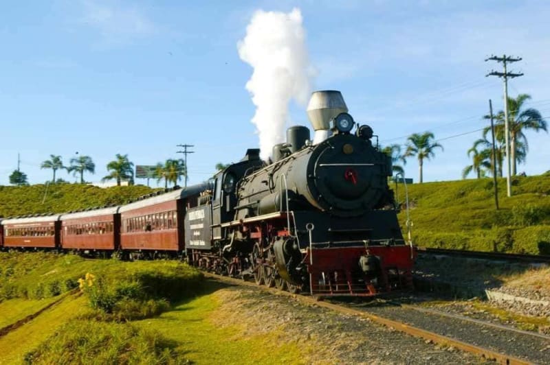 Passeio da Maria Fumaça – Trem do Vinho