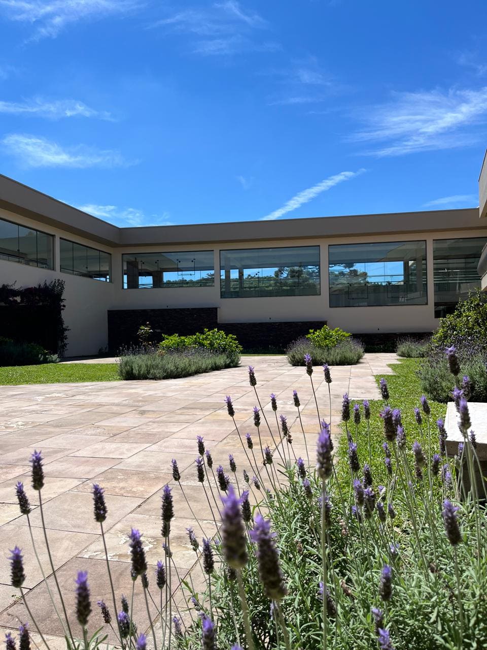 Área externa em meio a natureza