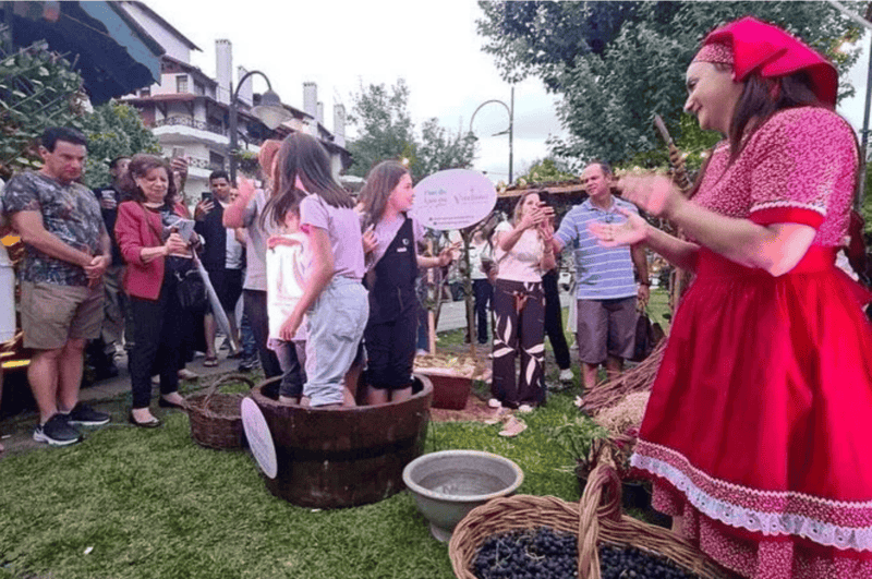 Tradicional pisa da uva