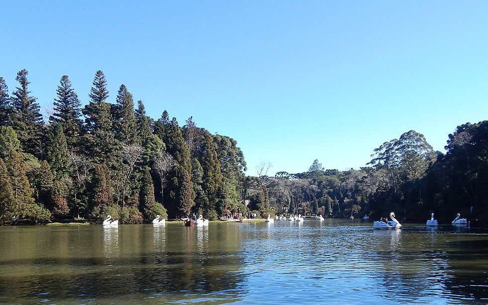 Imagem de Lago Negro em gramado