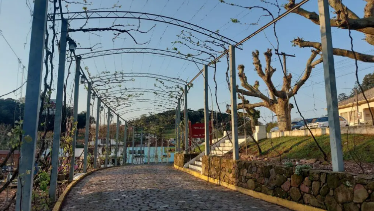 Imagem de Otávio Rocha em floresdacunha