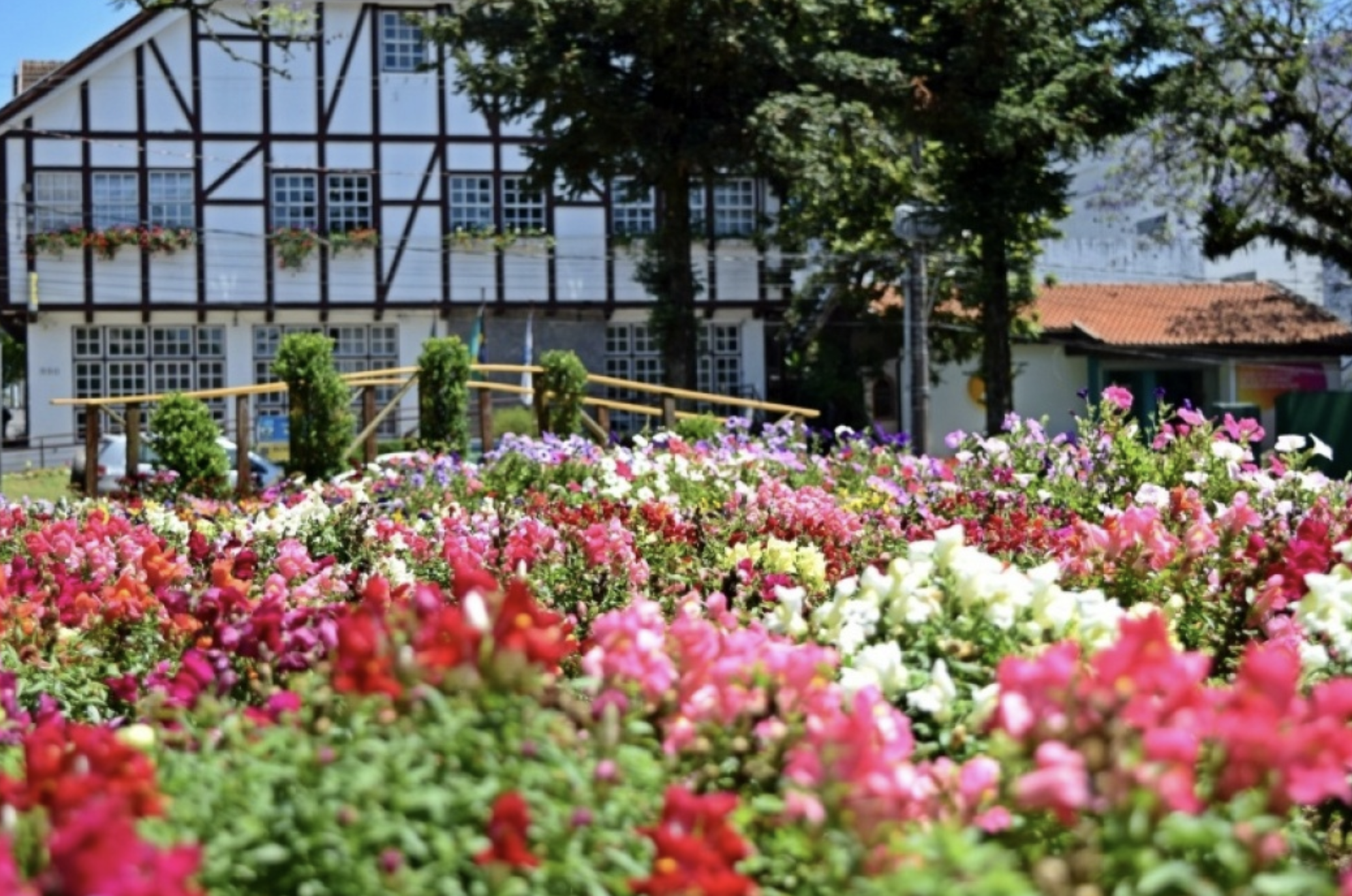 Imagem de Praça das Flores em novapetropolis