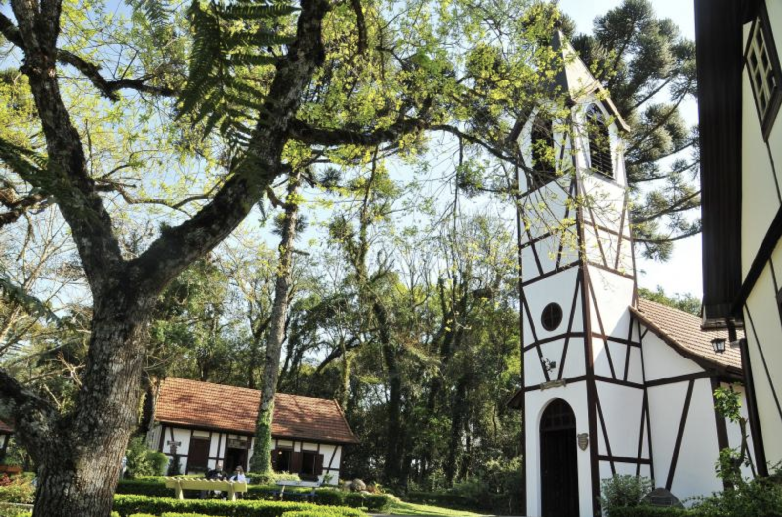 Imagem de Parque Aldeia do Imigrante em novapetropolis