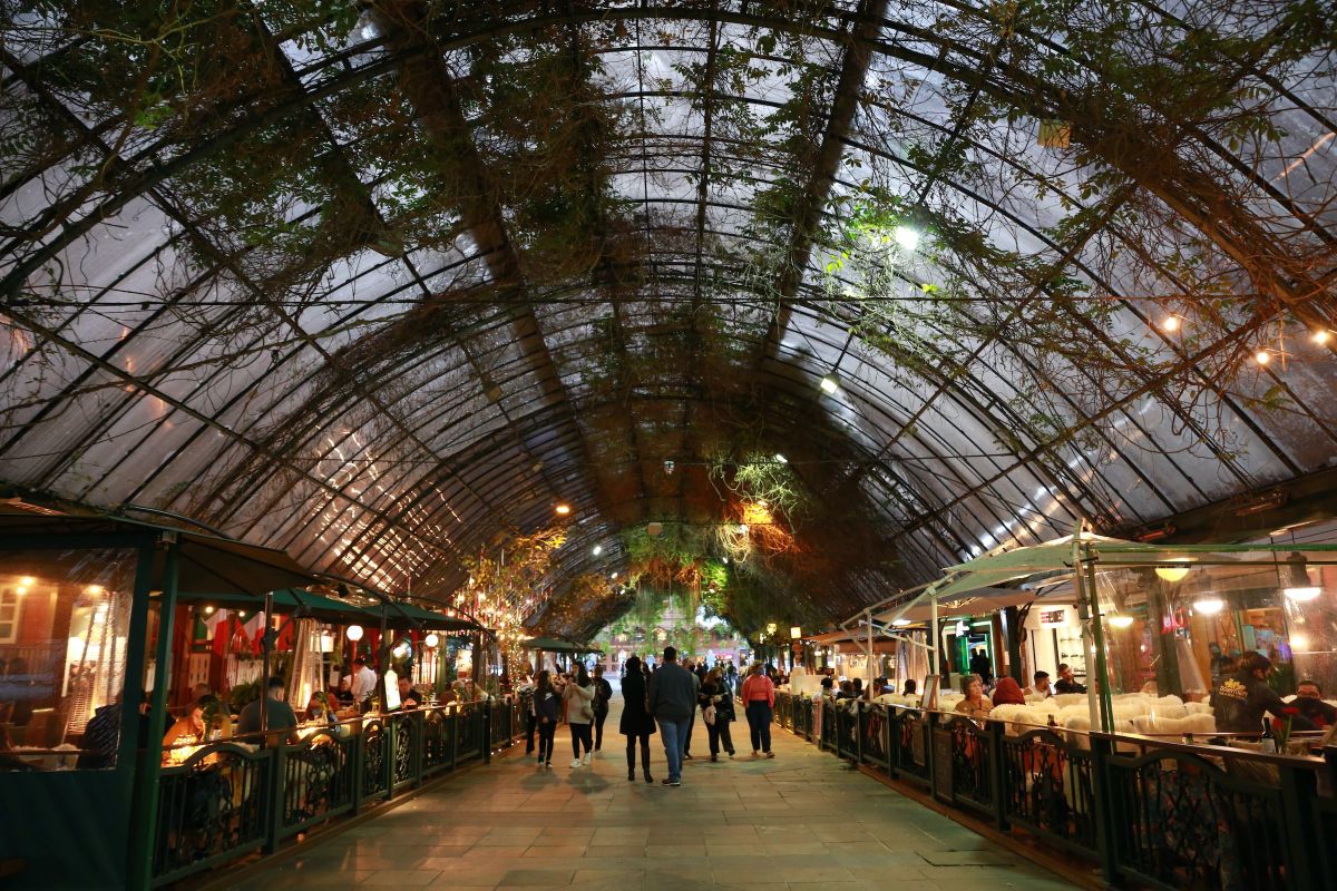 Imagem de Rua Coberta de Gramado em gramado