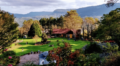 Imagem de Le Jardin – Parque de Lavanda em gramado