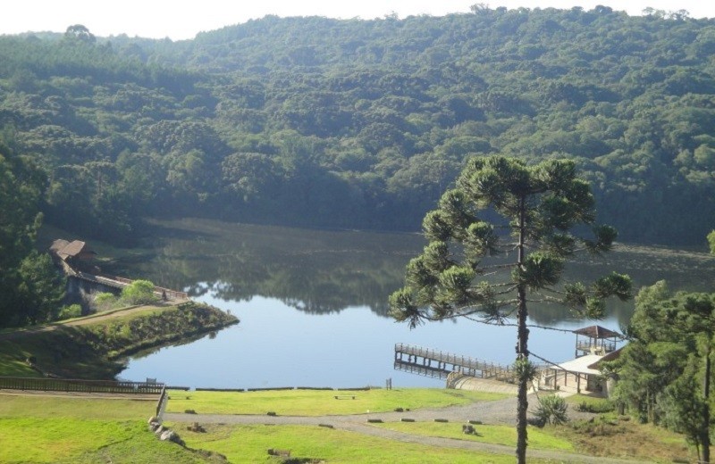 Parque Natural Municipal dos Pinheiros em Gramado (RS)