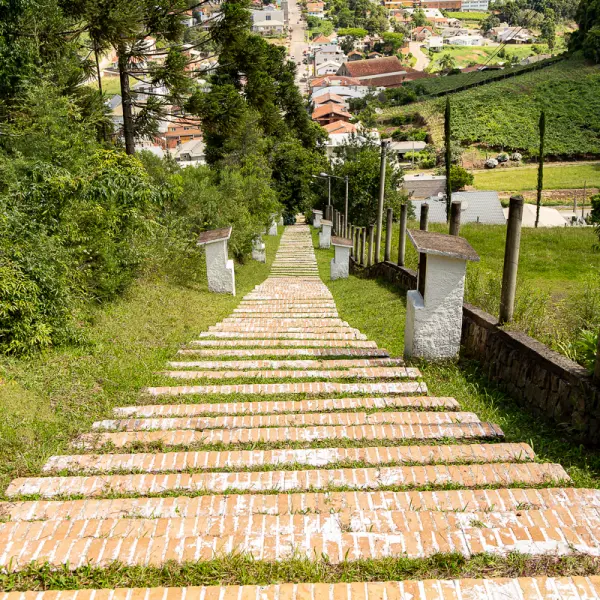 Otávio Rocha Essencial