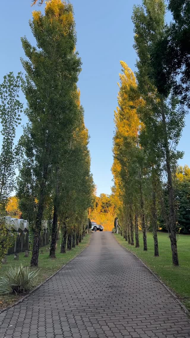 Aos domingos é possível desfrutar do espaço garden e contemplar os belos jardins da propriedade