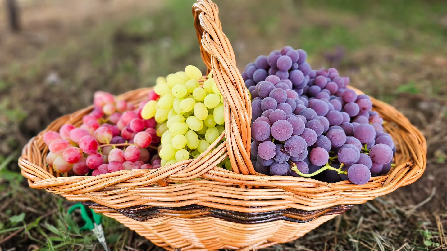 O cuidado em cada detalhe